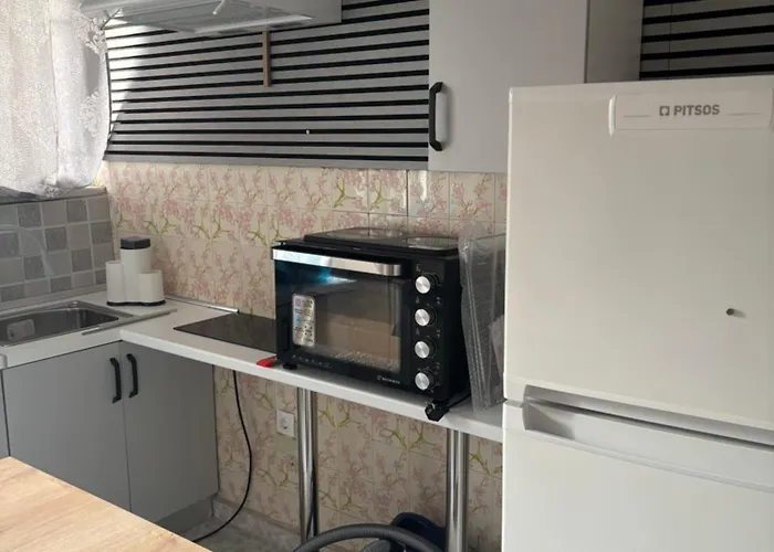 公寓 Rosi Rhodos *